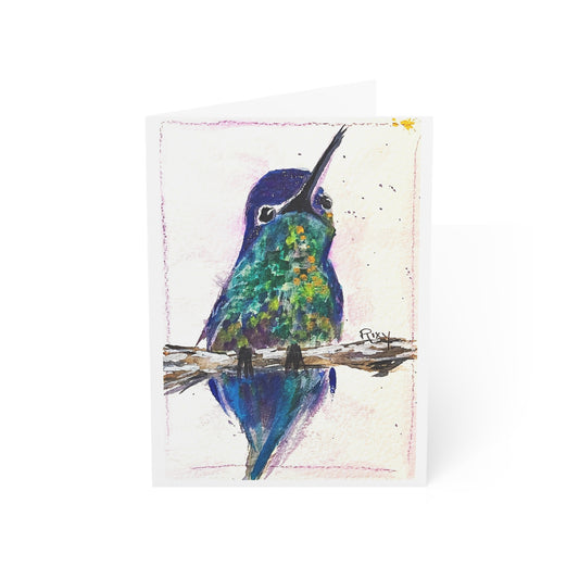 Buff Belly Hummingbird Blank inside Folded Greeting Cards
