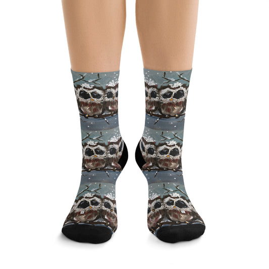 Who Us? Three Baby Owls in Snow Pattern Socks