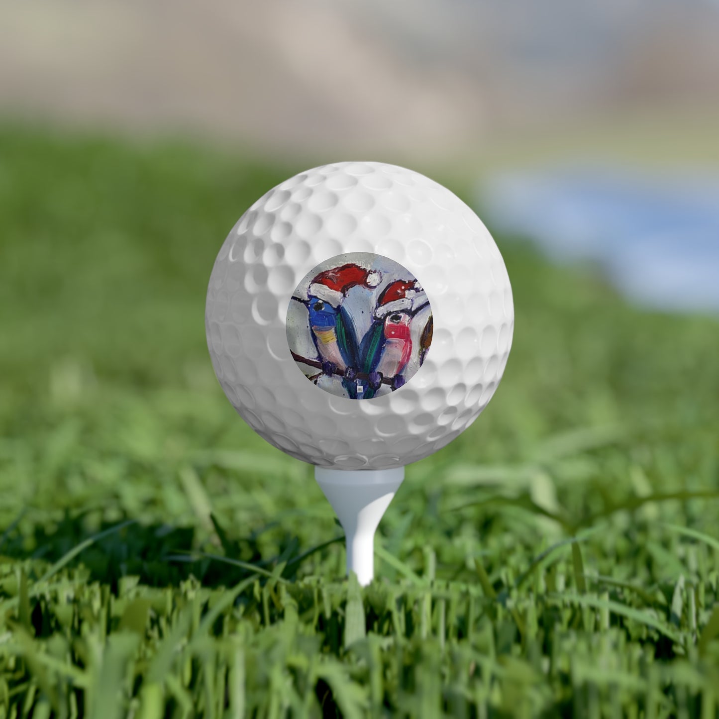 Golf Balls, 6pcs-Holiday Hummingbirds -Hummingbirds in Santa Hats