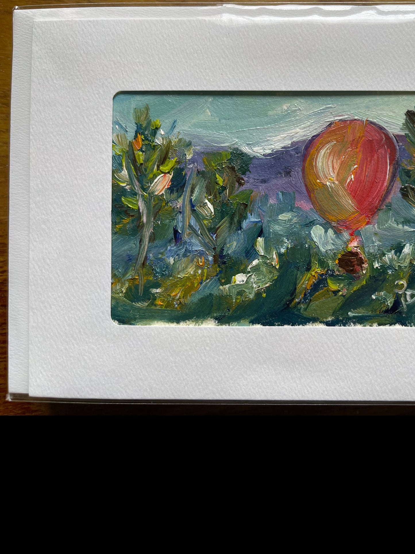 Balloon in the Vines