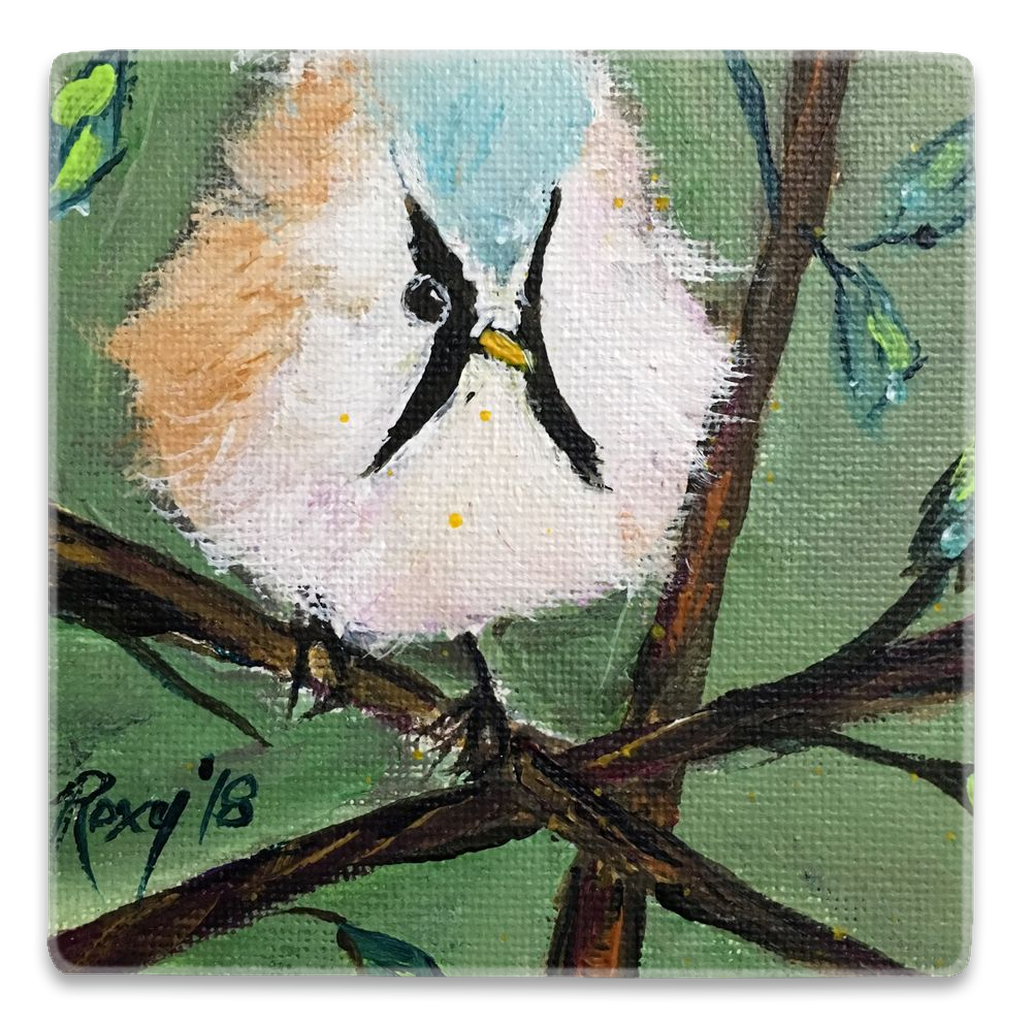 Aimant Carré Oiseau Mésange Barbu