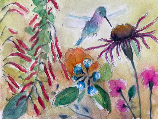 Hummingbird on a Coneflower