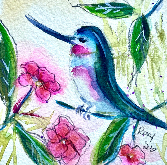 Annas Hummingbird with Pink Blossoms-Original Watercolor Painting 4x4 Framed