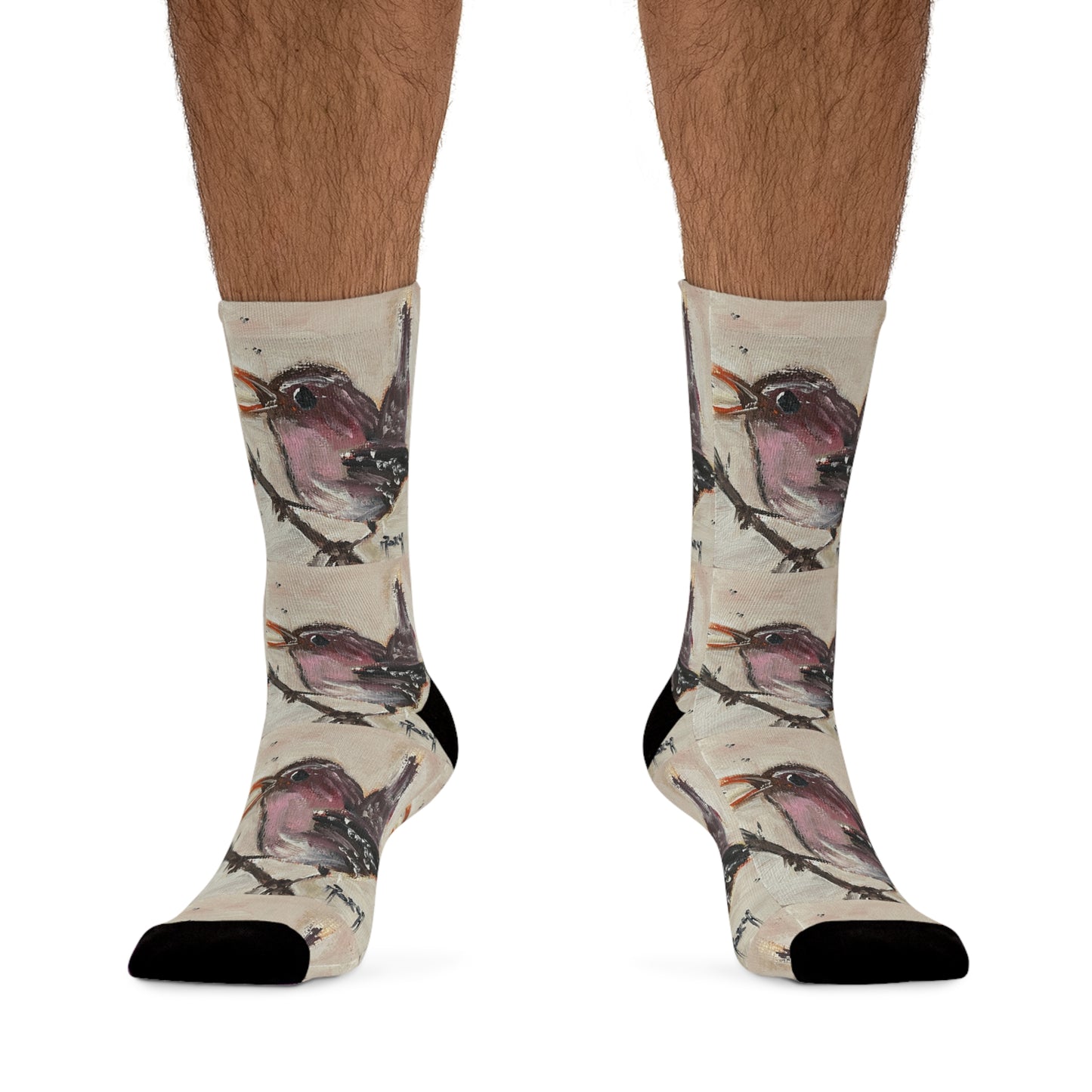 Chaussettes d'oiseau troglodyte chantant