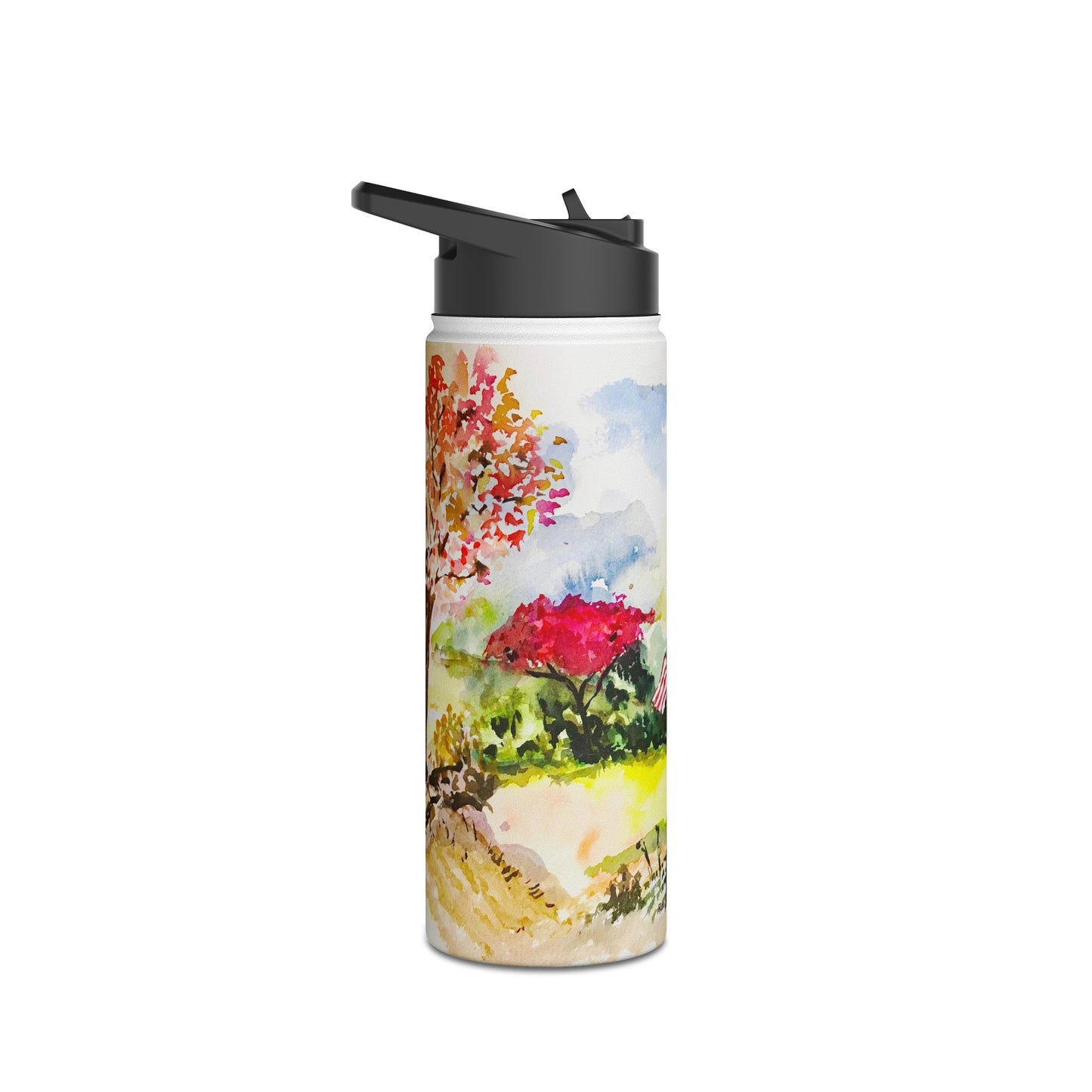 Land of the Free Stainless Steel Water Bottle, Standard Lid