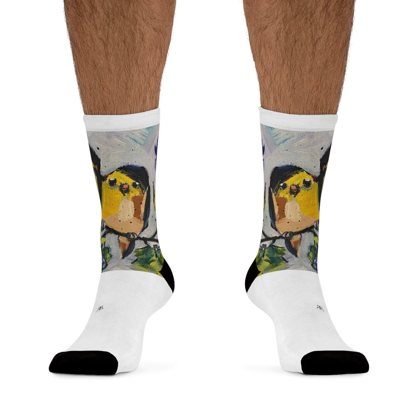 Morning Glory Goldfinches Socks