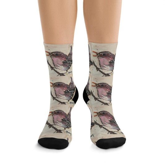 Singing Wren Bird Socks