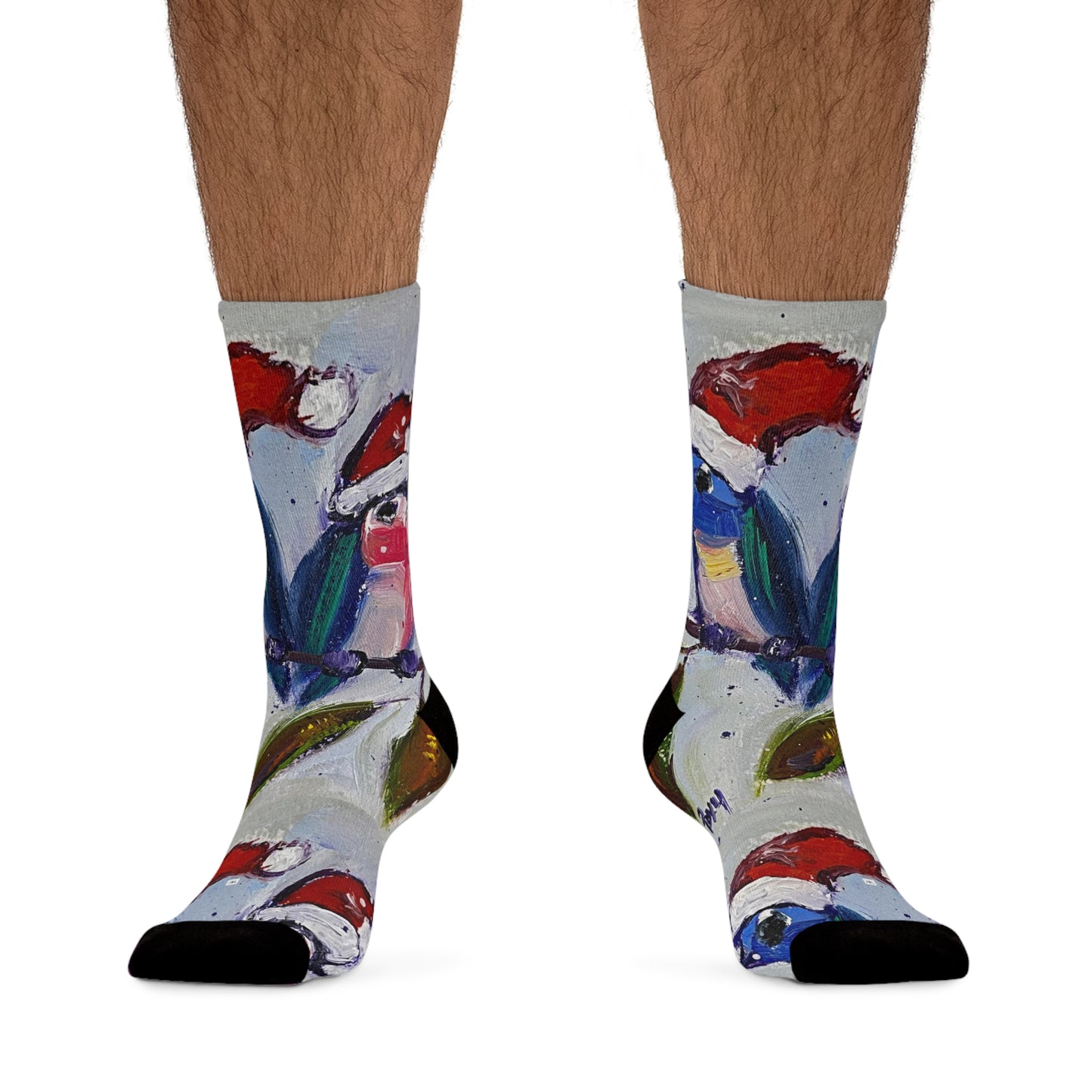 Holiday Humminbgird Socks