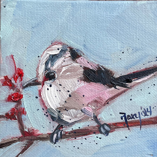 Adorable Long Tailed Tit Original Oil Painting 4x4 Framed