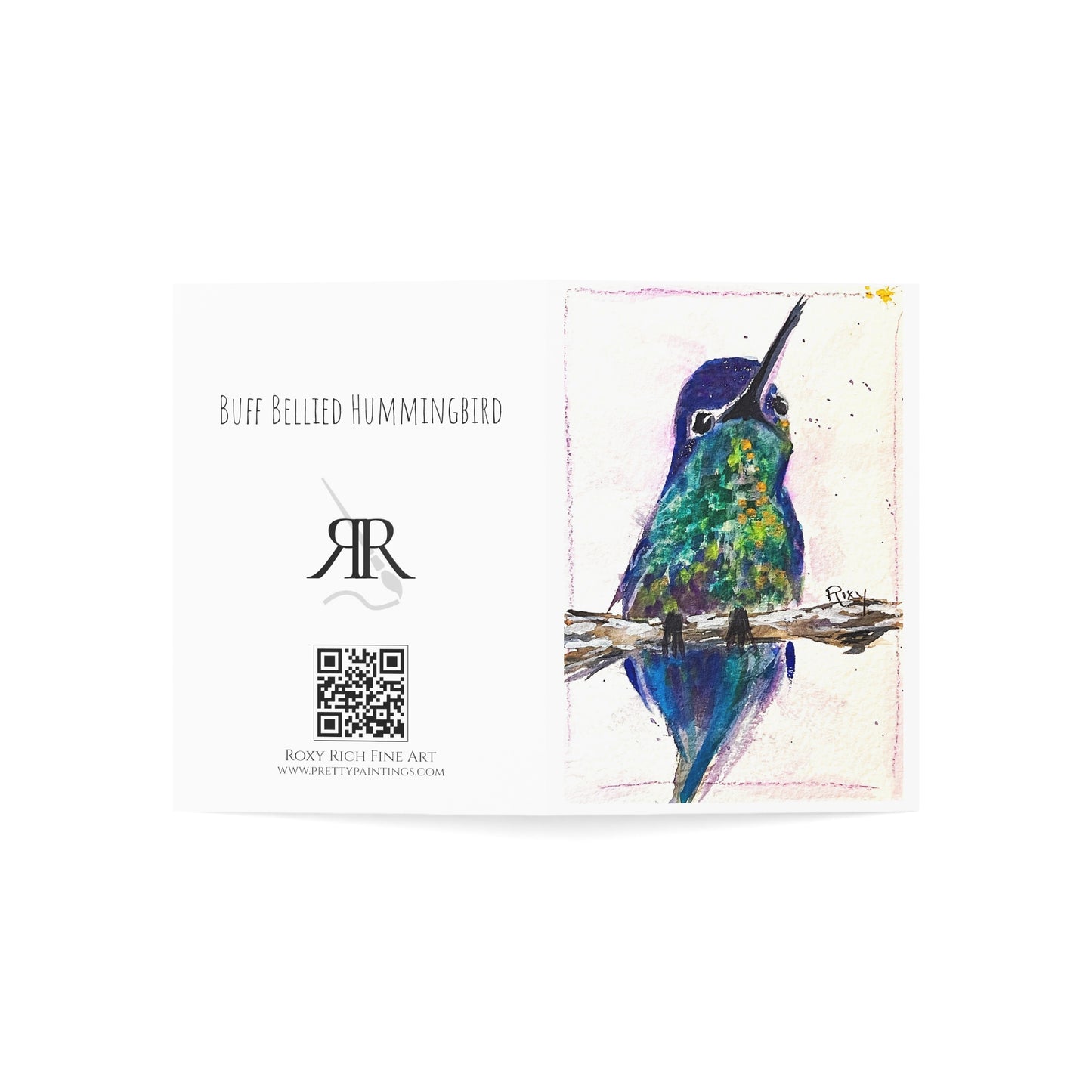 Buff Belly Hummingbird Blank inside Folded Greeting Cards