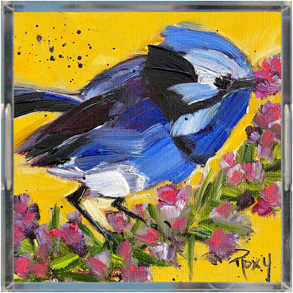 Splendid Fairy Wren Acrylic Tray