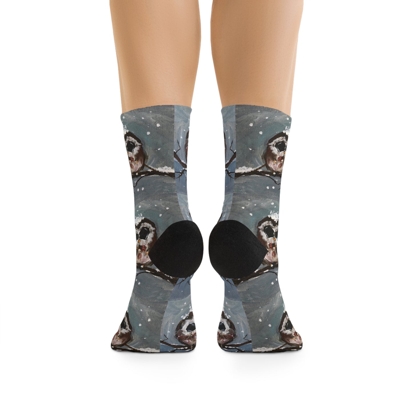 Who Us? Three Baby Owls in Snow Pattern Socks