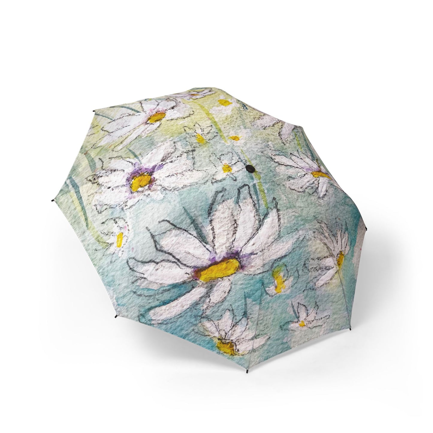 Umbrella-  Daisies
