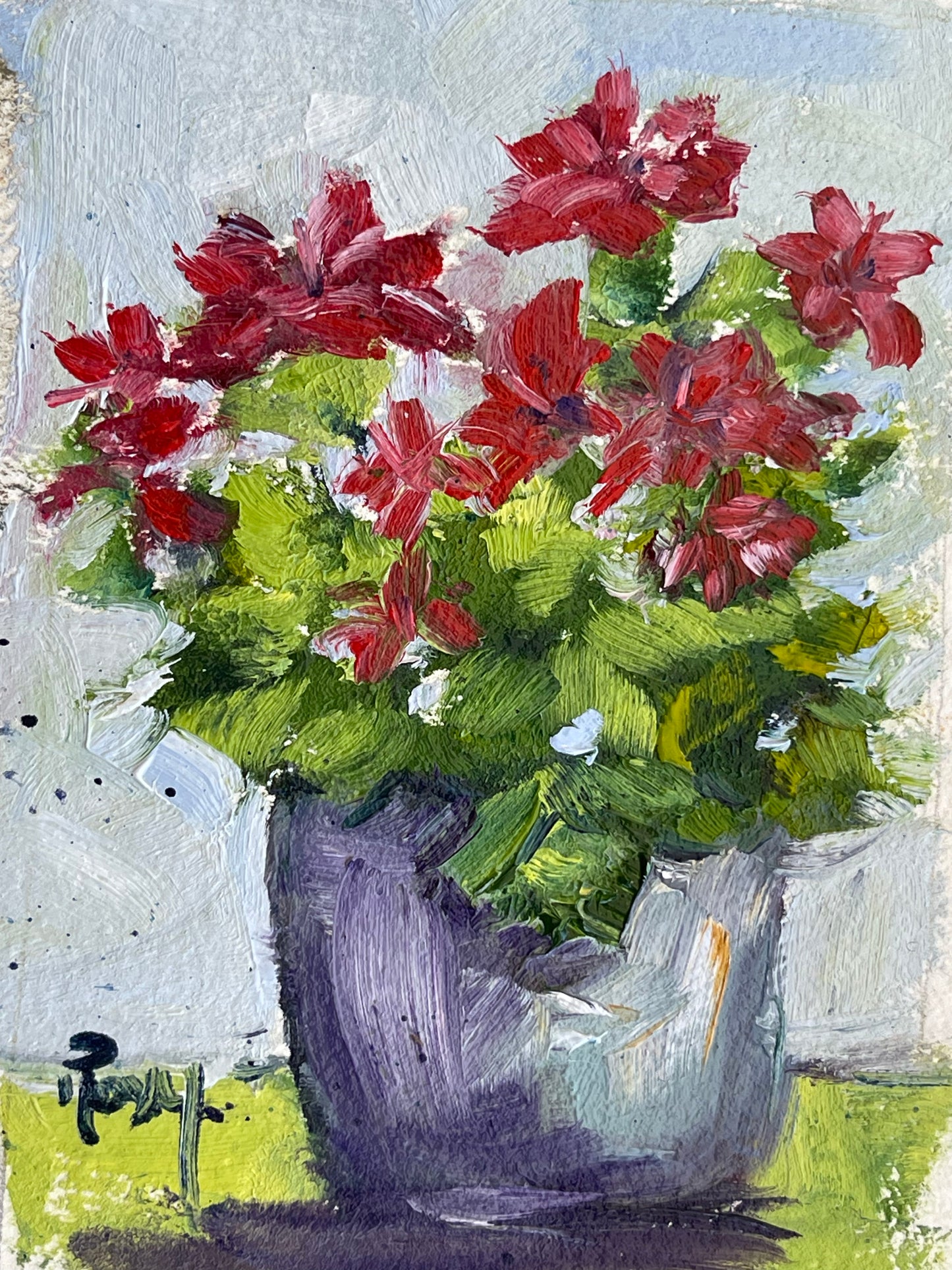 Geraniums in a Pot