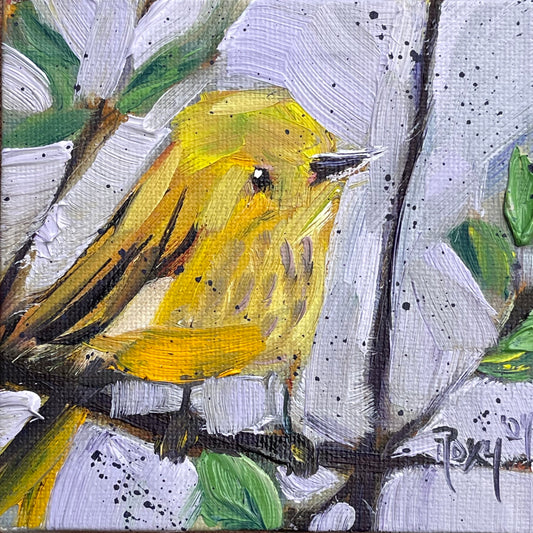 Winsome Little Yellow Warbler Pintura al óleo original 4x4 Enmarcada