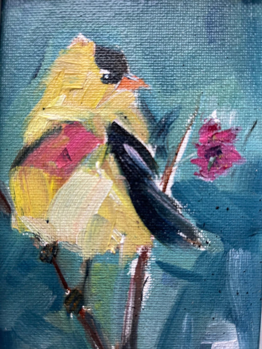 Fluffy American Goldfinch- 4 x 6 Original Oil Painting Framed