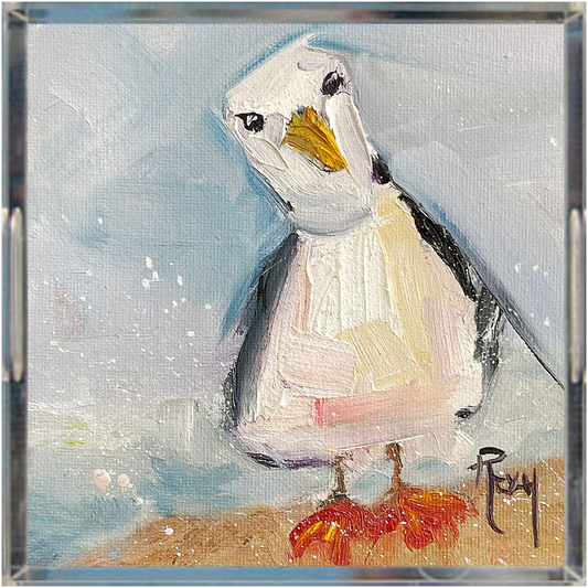 Inquisitive Seagull Acrylic Tray