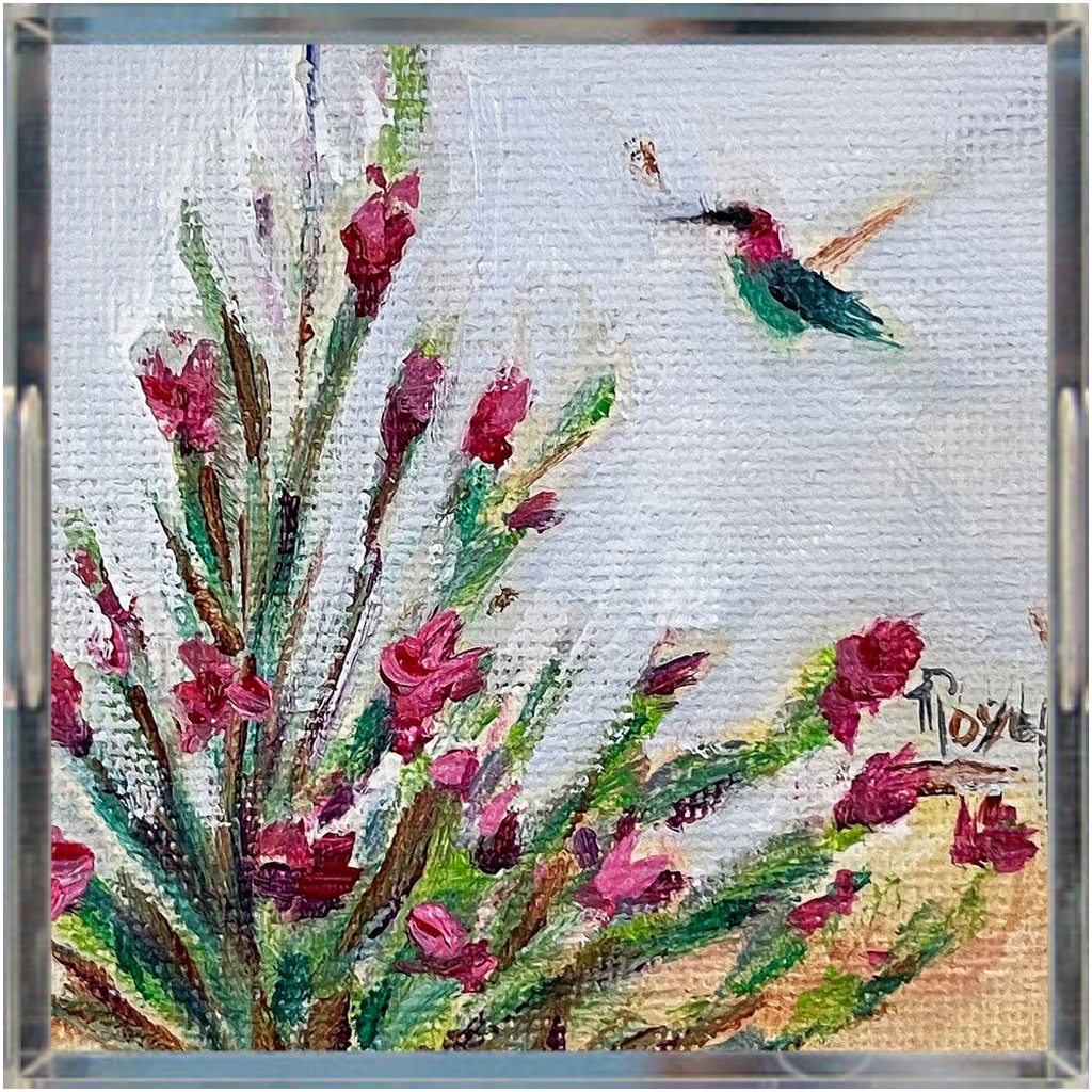 Hummingbird in the Salvia Acrylic Tray