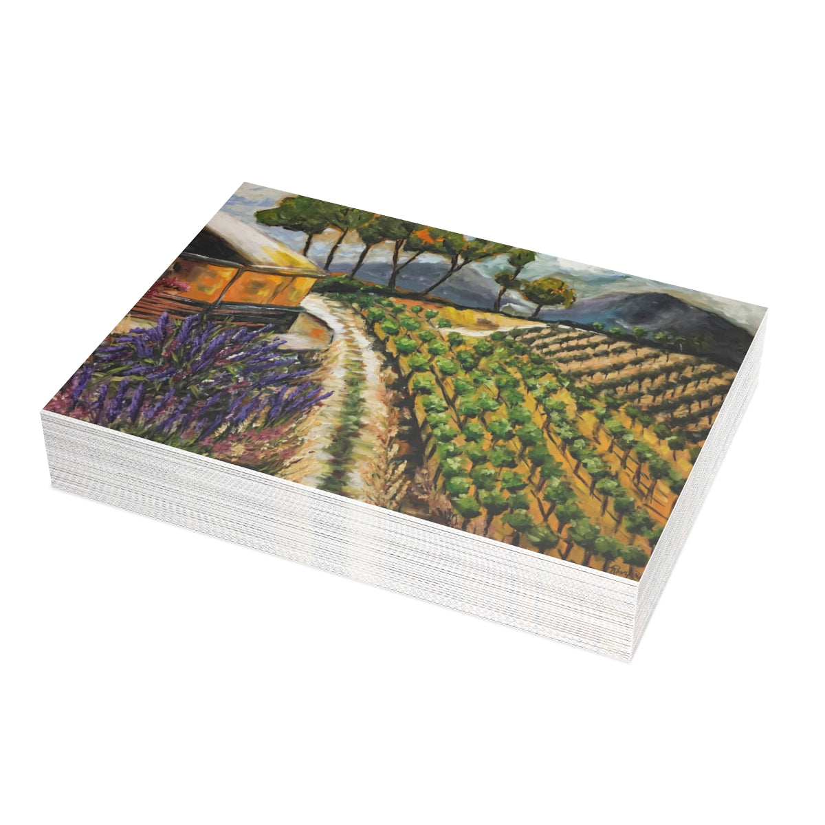 Cartes de vœux de vignes d’été