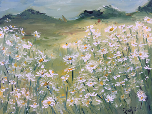 Field of Daisies Original Oil Painting 9 x 12 Framed