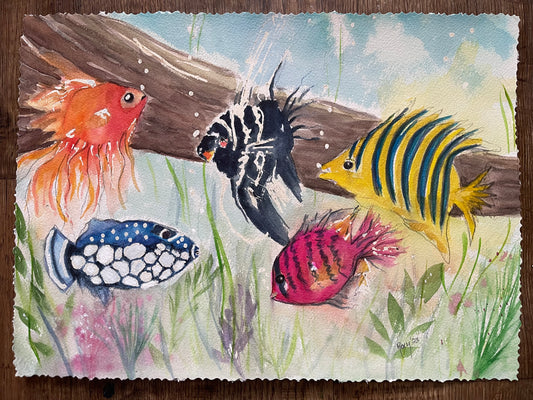 Colorful Fish Original Watercolor Painting Framed