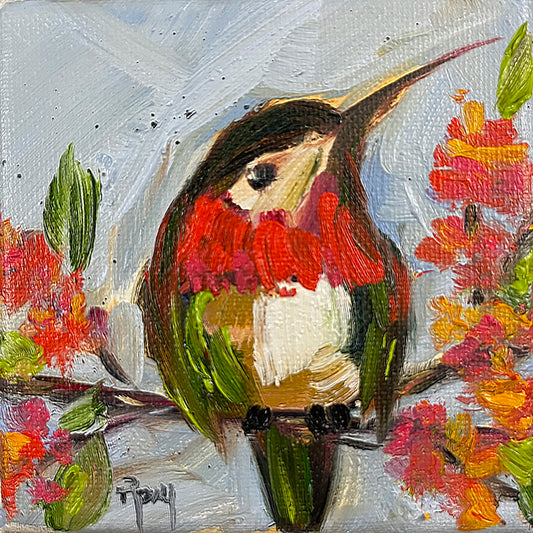 Cute Rufous Hummingbird Original Oil Painting 4x4 Framed