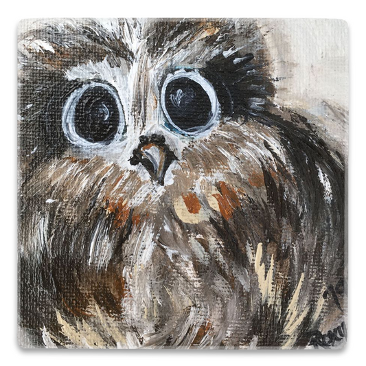 Big Eyes Cute Owl Square Magnet