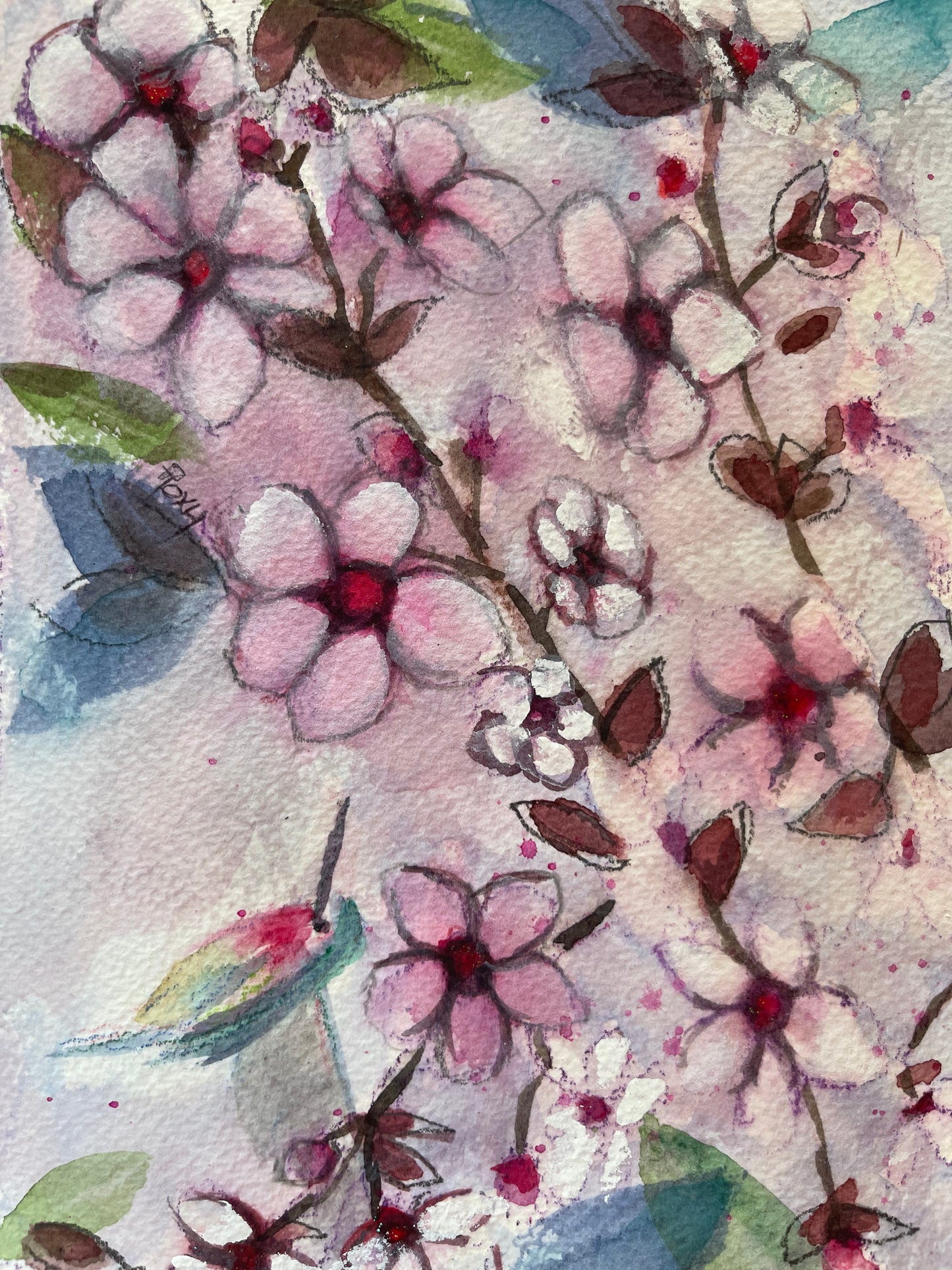 Colibrí en flores de cerezo